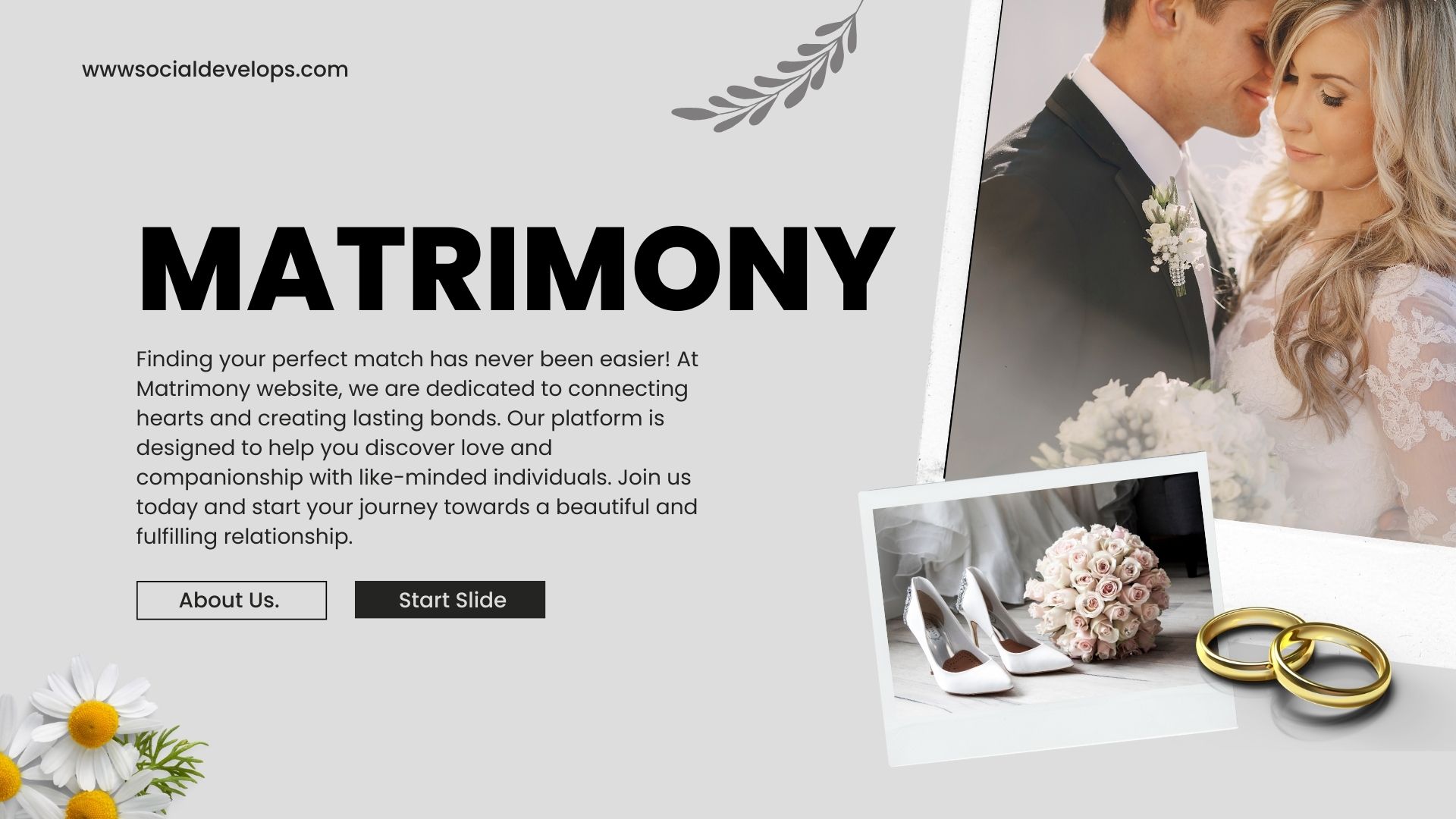 matrimony website design landing page